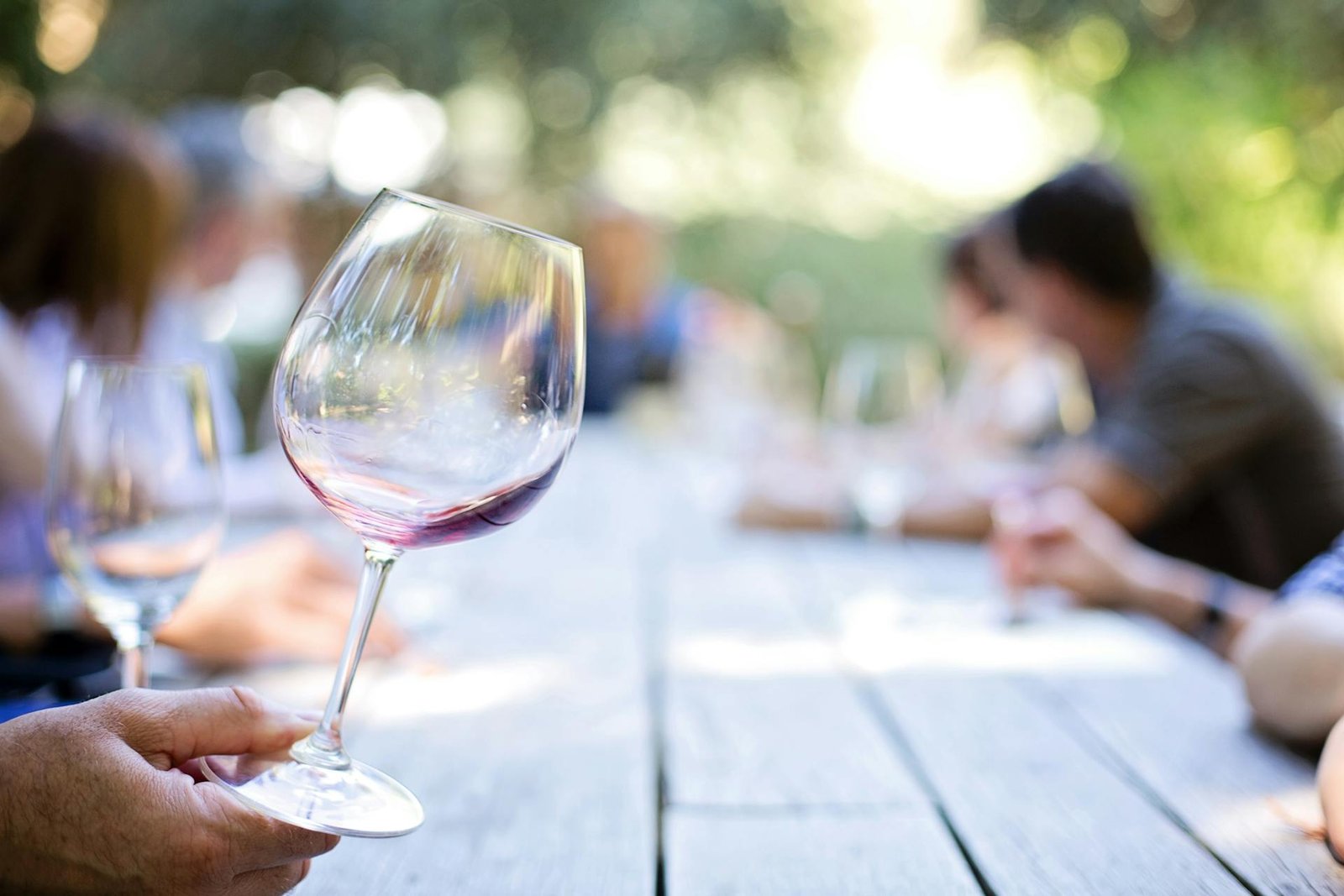 The Art of Wine Tasting: A Beginner's Guide